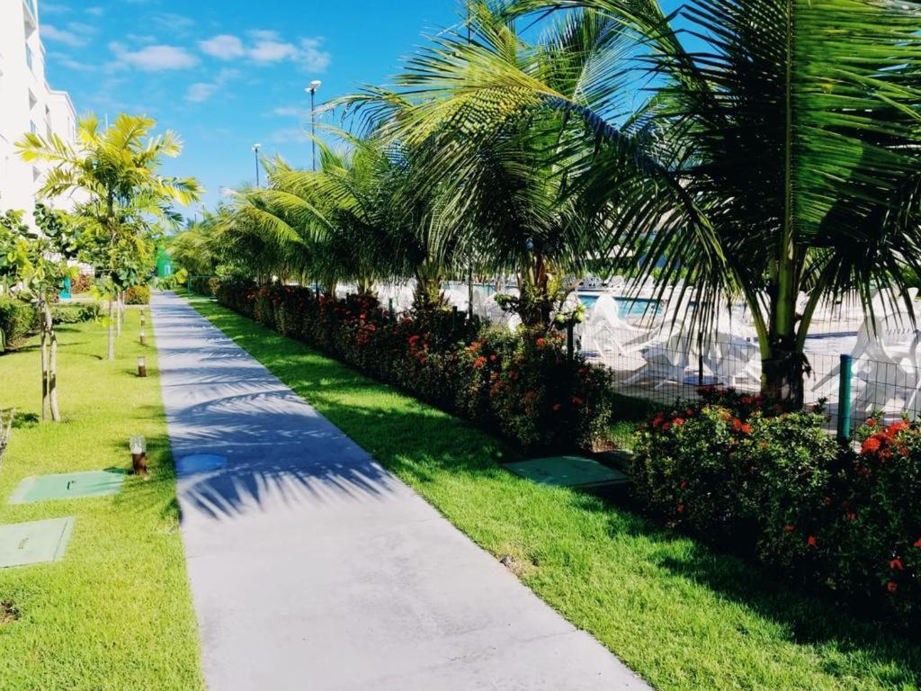 Palm Village Acqua Apartment